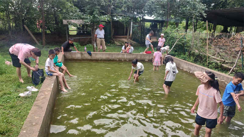 武漢幼兒園秋游