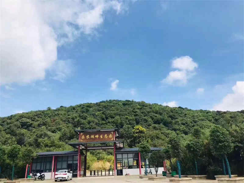 武漢公司團建