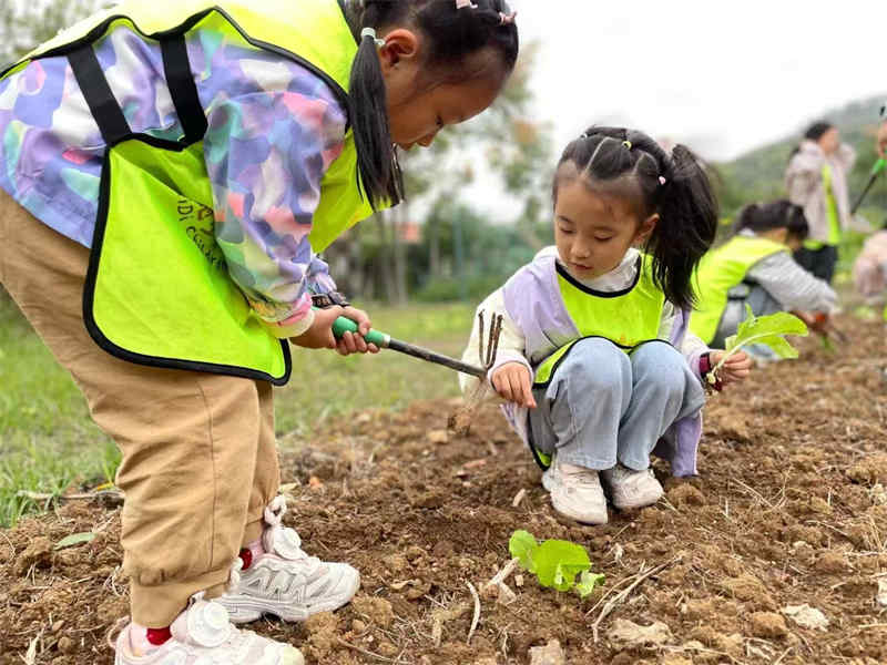 武漢幼兒園秋游