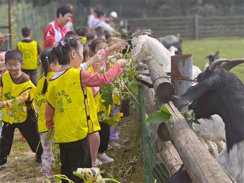 武漢幼兒園春游